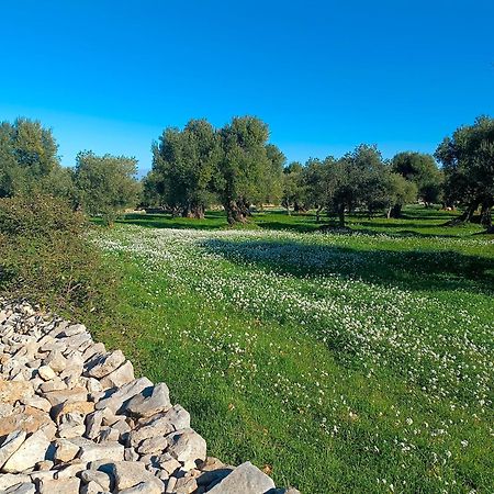 Che Vista!! Ostuni ,Sulle Bianche Mura Con Vista Mozzafiato Exterior photo
